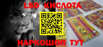 a pvp Новозыбков