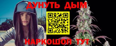 a pvp Новозыбков