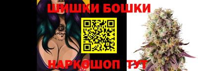 эйфоретик Новокубанск