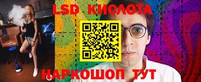 a pvp Новозыбков